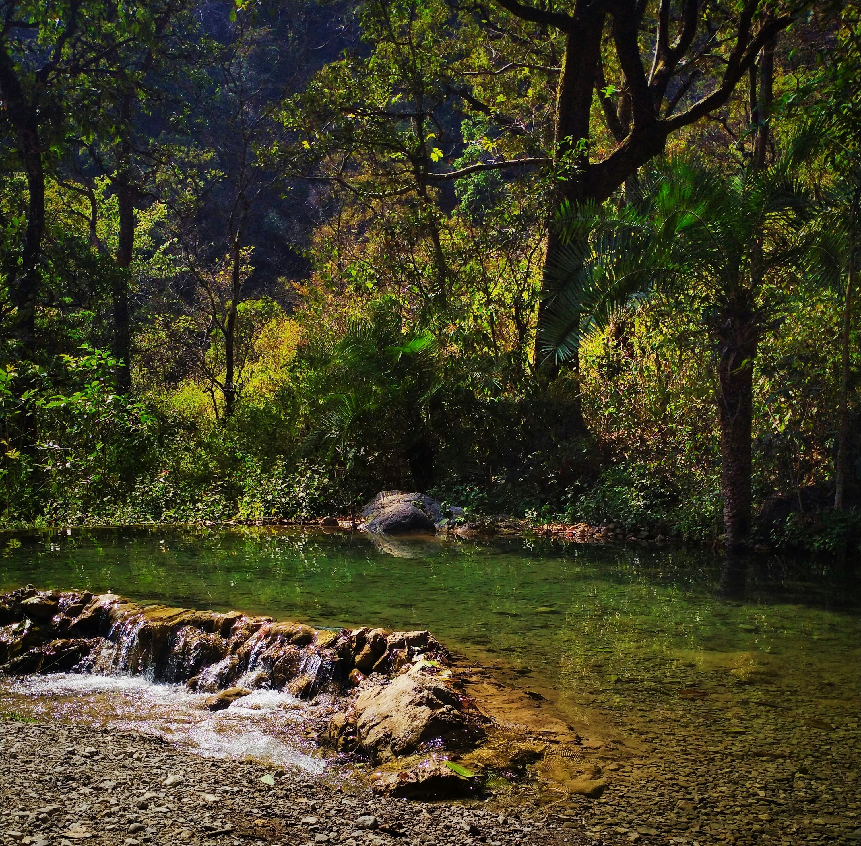 Uttarakhand: Heaven Unveiled, Pahadi Traditions Revived (उत्तराखंड: स्वर्ग की झलक, पहाड़ी परंपराएं पुनर्जीवित)