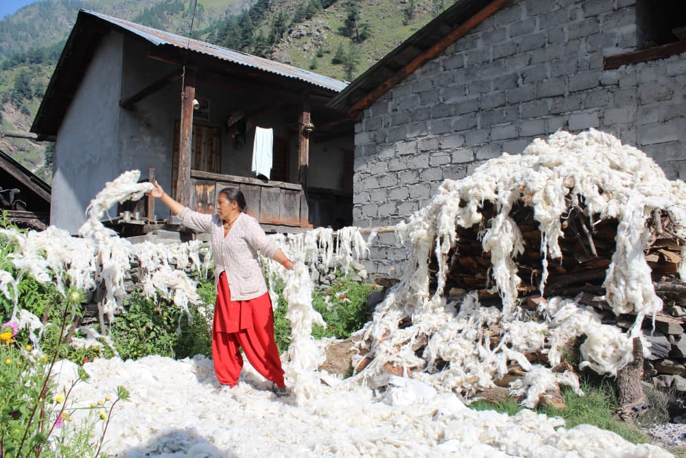 Bhotiya Weaving: The Vanishing Wool Wisdom of the Himalayas