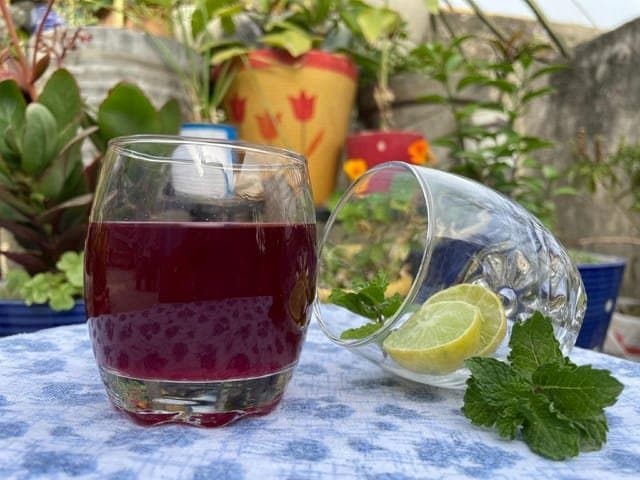 Image of Buransh Squash (Rhododendron Juice) - an authentic Pahadi product