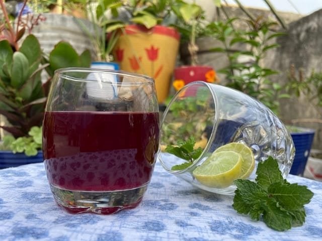 Buransh Squash (Rhododendron Juice) - Authentic Beverages from Uttarakhand Himalayas | Buy Online at Buransh Tales
